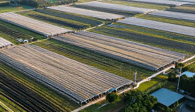 运维托管服务中网络延迟检查的5个核心要点